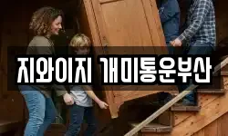 지와이지 개미통운부산