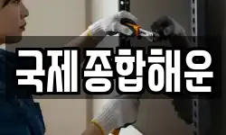 국제종합해운