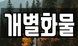 개별화물