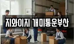 지와이지 개미통운부산