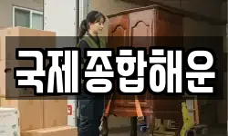 국제종합해운
