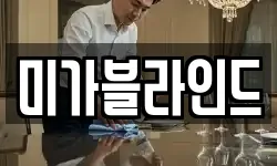미가블라인드