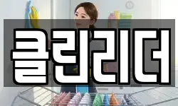 클린리더