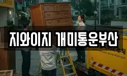 지와이지 개미통운부산