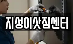 지성이삿짐센터