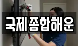 국제종합해운