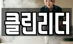 클린리더
