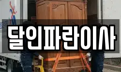 달인파란이사