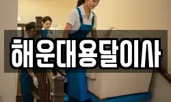 해운대용달이사