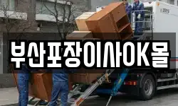 부산포장이사OK몰
