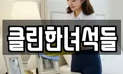 클린한녀석들