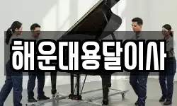 해운대용달이사