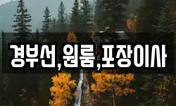 경부선,원룸,포장이사