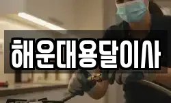 해운대용달이사