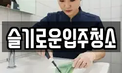 슬기로운입주청소
