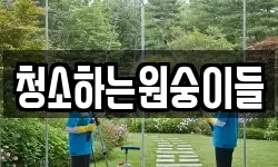 청소하는원숭이들