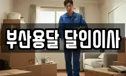 부산용달 달인이사