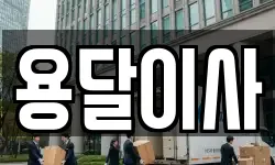 용달이사