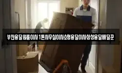 부산용달원룸이사1톤사무실이사소형용달이사삼성용달배달꾼
