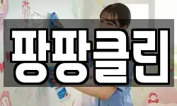팡팡클린