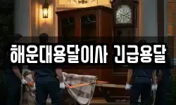 해운대용달이사 긴급용달
