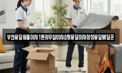 부산용달원룸이사1톤사무실이사소형용달이사삼성용달배달꾼