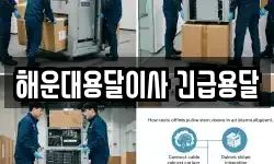 해운대용달이사 긴급용달