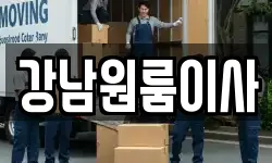 강남원룸이사