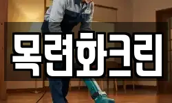 목련화크린