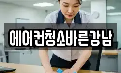 에어컨청소바른강남