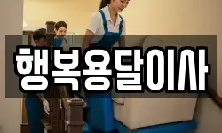 행복용달이사