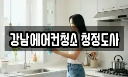 강남에어컨청소 청정도사