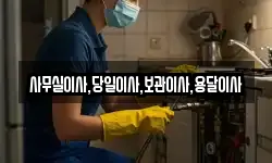 사무실이사,당일이사,보관이사,용달이사