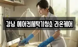 강남 에어컨세탁기청소 라온케어