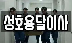 성호용달이사