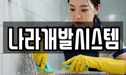 나라개발시스템