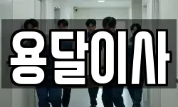 용달이사