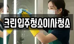 크린입주청소이사청소