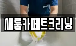 새룸카페트크리닝