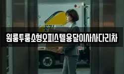원룸투룸소형오피스텔용달이사사다리차