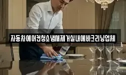 자동차에어컨청소냄새제거실내에바크리닝업체