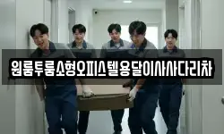 원룸투룸소형오피스텔용달이사사다리차