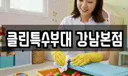 클린특수부대 강남본점