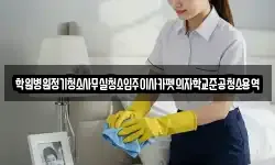 학원병원정기청소사무실청소입주이사카펫의자학교준공청소용역