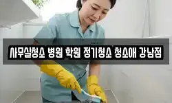 사무실청소 병원 학원 정기청소 청소애 강남점