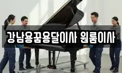 강남용꿈용달이사 원룸이사