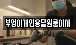 부엉이개인용달원룸이사