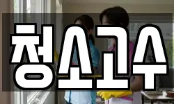 청소고수