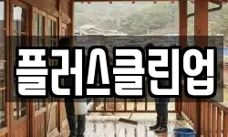 플러스클린업