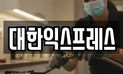 대한익스프레스